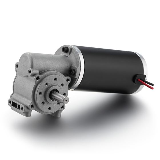 worm gear motor