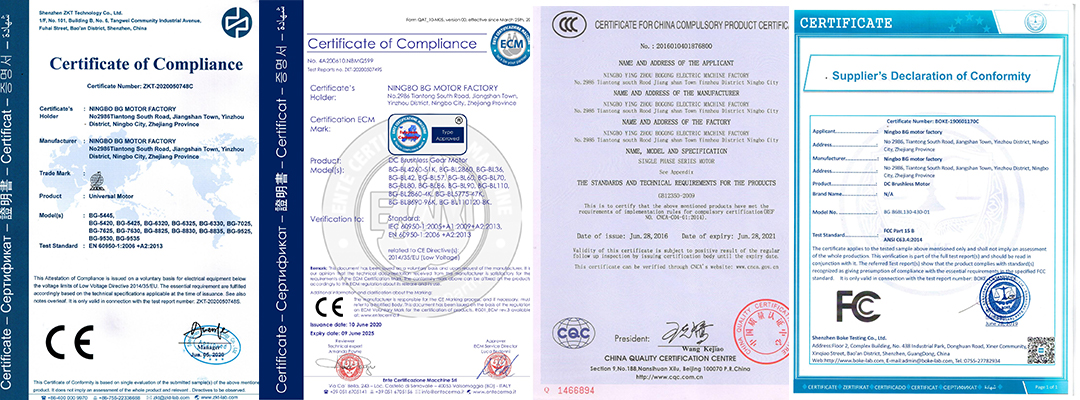 bgmotor certification