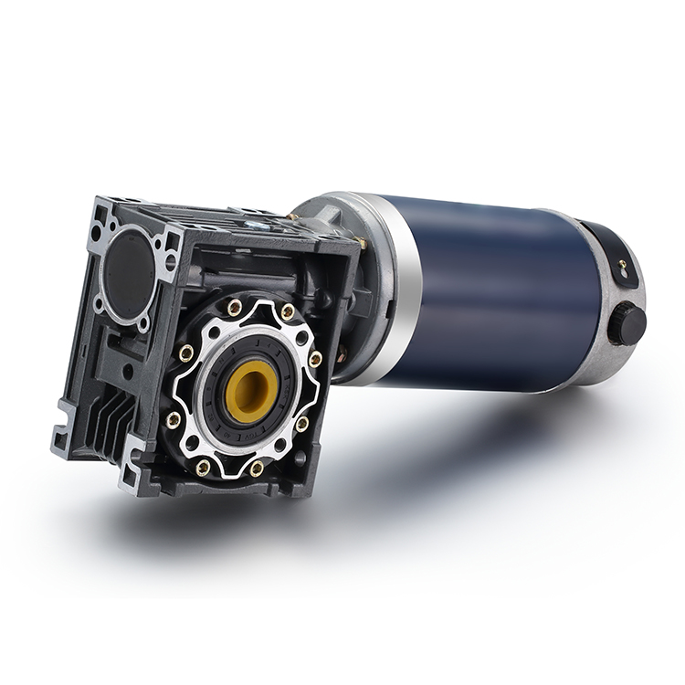 110mm dc brushed motor (1).JPG